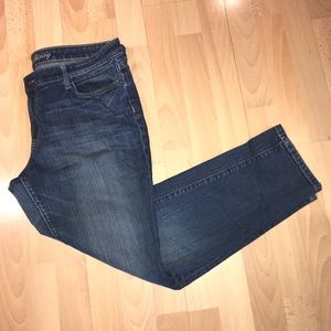 Gap Premium Skinny Jeans